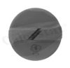 CALORSTAT by Vernet RC0005 Cap, radiator